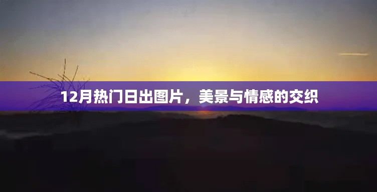 美景与情感的交织,十二月日出图片精选