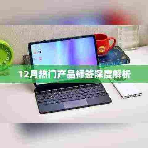 12月热门产品标签解析,洞悉市场趋势