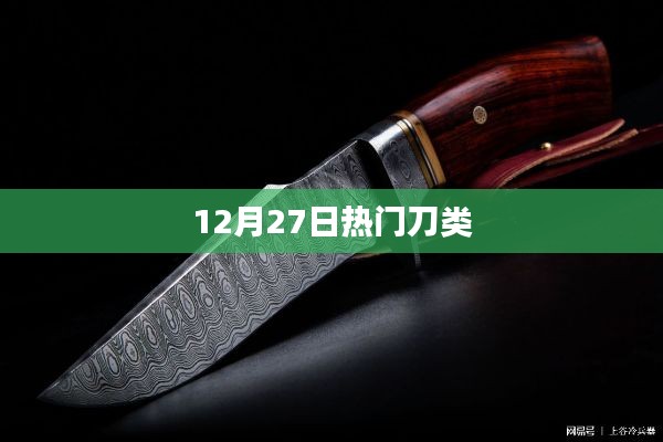最新热门刀类资讯,12月27日大盘点