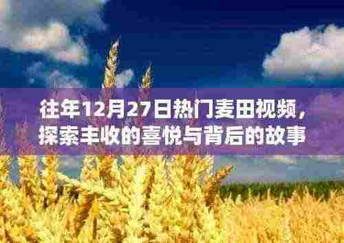 往年12月热门麦田丰收视频揭秘,喜悦与故事相伴而行