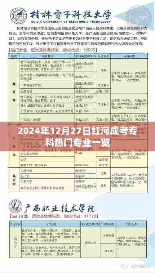 红河成考专科热门专业概览(2024年12月)