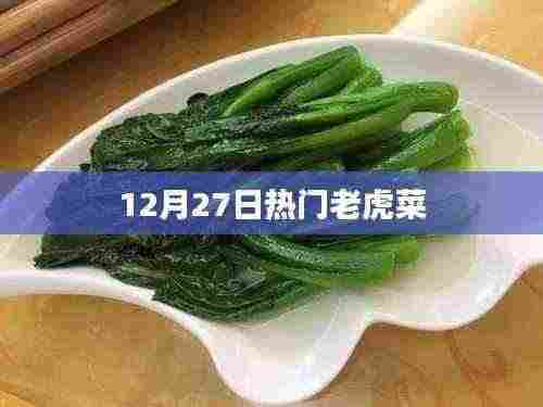 12月27日热门老虎菜做法与赏析