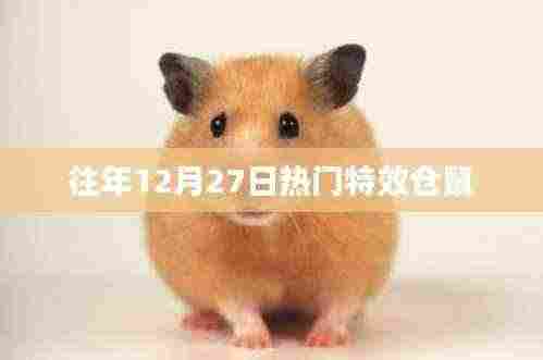 往年年末仓鼠特效盘点,热门特效回顾