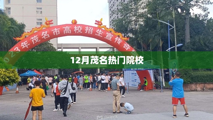 茂名热门院校榜单揭晓,12月不容错过