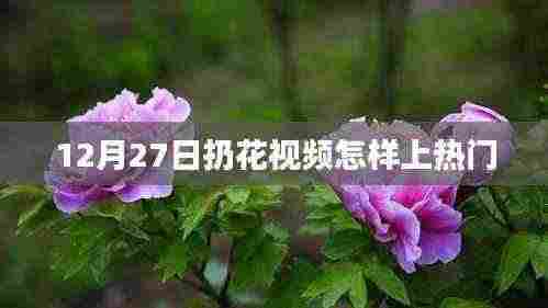 扔花视频如何上热门?秘诀揭秘!