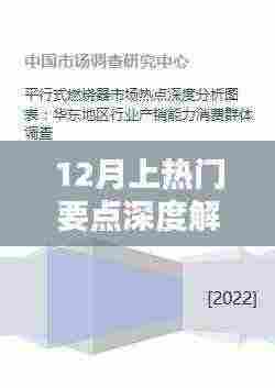 12月热点深度解读，要点解析与趋势展望