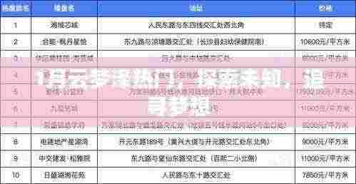 云梦泽探索,追寻梦想,探寻未知一月之旅