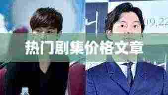 热门剧集价格解析