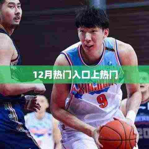 12月热门入口流量飙升,揭秘热门背后的秘密