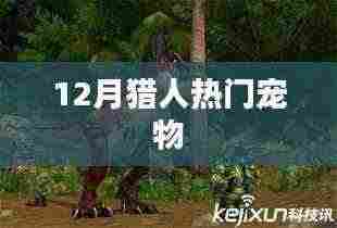 12月猎人热门宠物选择指南