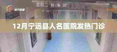 宁远县人民医院发热门诊12月情况概览