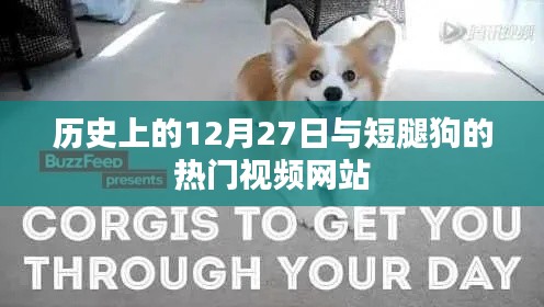 历史上的12月27日与短腿狗视频风潮