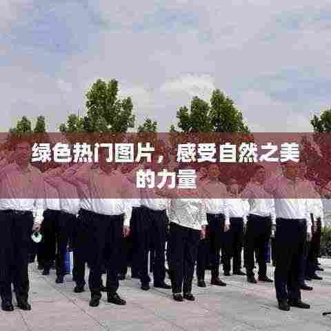 绿色自然之美,感受热门图片的震撼力量