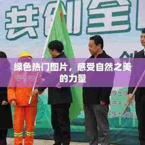 绿色自然之美,感受热门图片的震撼力量