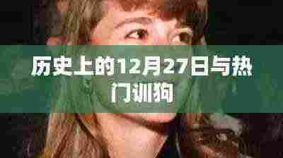 历史上的大事件与热门训狗技巧