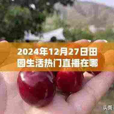 田园生活直播盛典，探寻热门直播地点