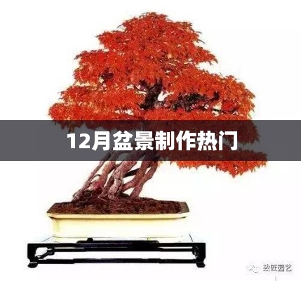 盆景制作流行趋势,十二月制作指南