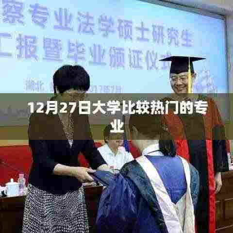 热门大学专业解析,深度探讨热门专业趋势