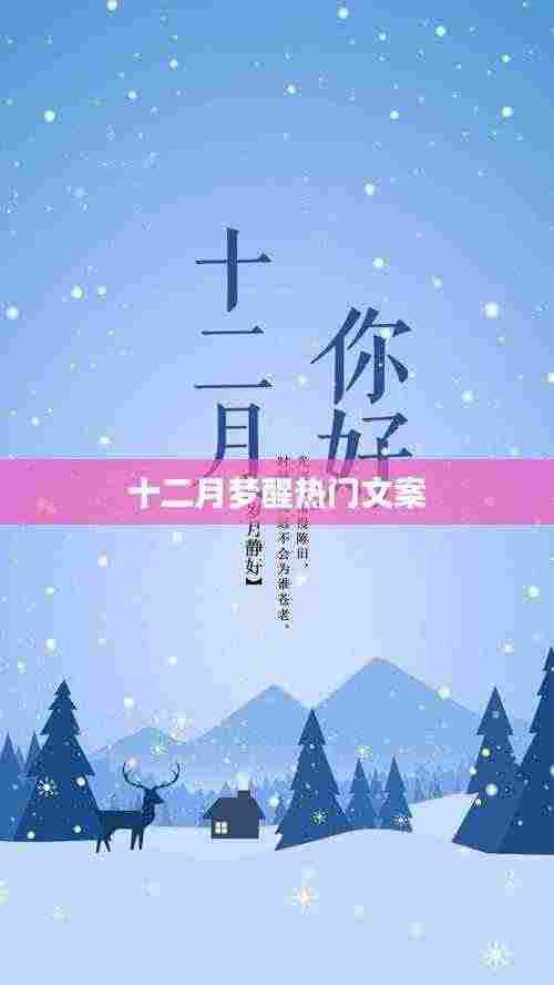 十二月梦醒时分,温暖文案回顾