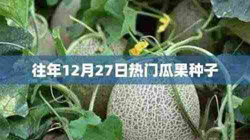 往年12月27日热门瓜果种子概览