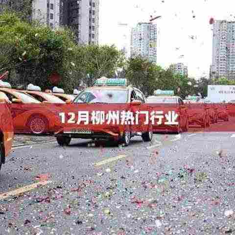 柳州十二月行业热点概览