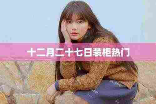 十二月二十七日装柜热潮涌动