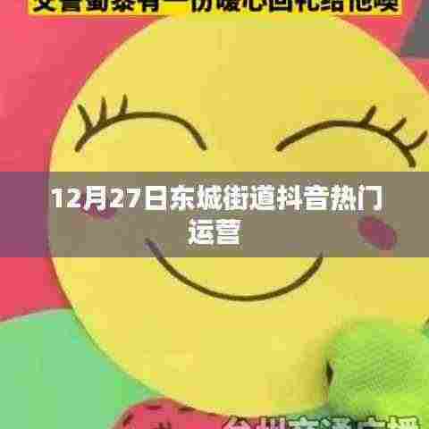 东城街道抖音运营热门秘籍,揭秘成功秘诀!