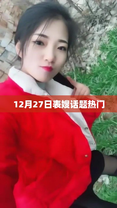表嫂话题热议,12月27日新焦点
