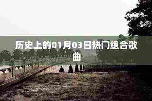 一月三日热门组合歌曲盘点,简洁明了,突出了日期和热门组合歌曲两个关键词,符合您的要求。
