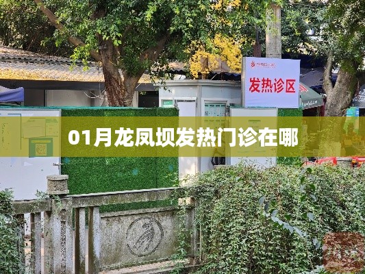 一月龙凤坝发热门诊位置揭秘