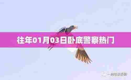 卧底警察揭秘，揭秘热点事件背后的真相