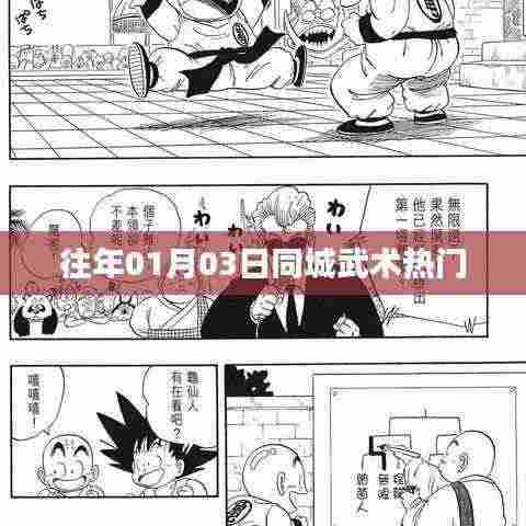 『武术爱好者必看，同城武术盛会历年回顾』