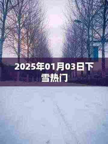 2025年元旦后首场大雪来袭,冬日雪景成热门话题