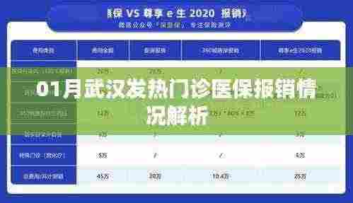 武汉发热门诊医保报销情况分析