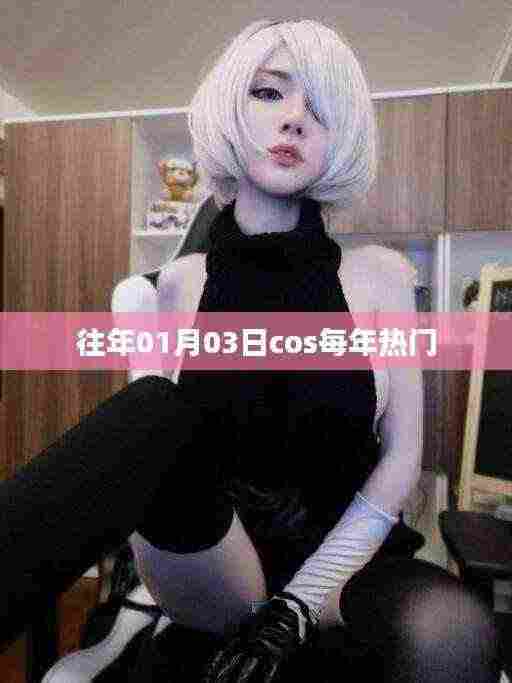『历年元旦后热门cosplay回顾』