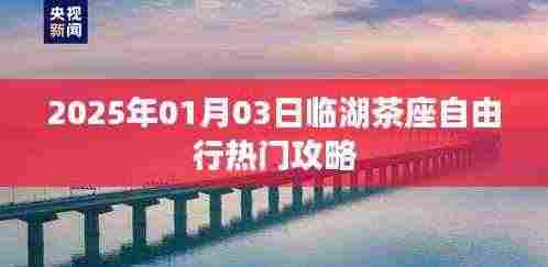 临湖茶座自由行指南,热门攻略助你畅游临湖茶座