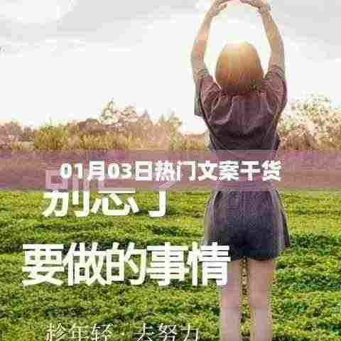 热门文案干货大揭秘,精选内容一网打尽!