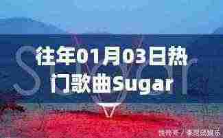 往年元旦后热门歌曲Sugar回顾