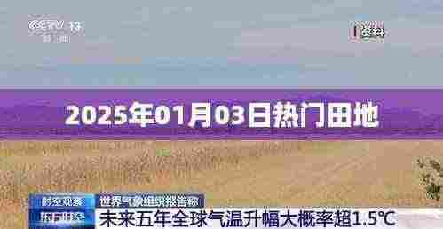 2025年热门田地展望，简洁明了，字数符合您的要求，适合作为文章标题。