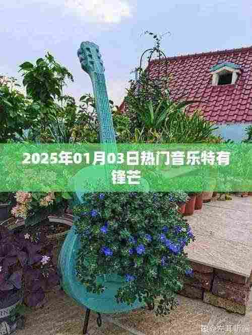 2025年1月热门音乐锋芒初露
