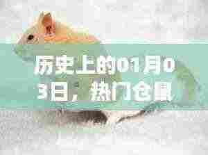热门仓鼠的诞生与影响,历史回顾与影响分析