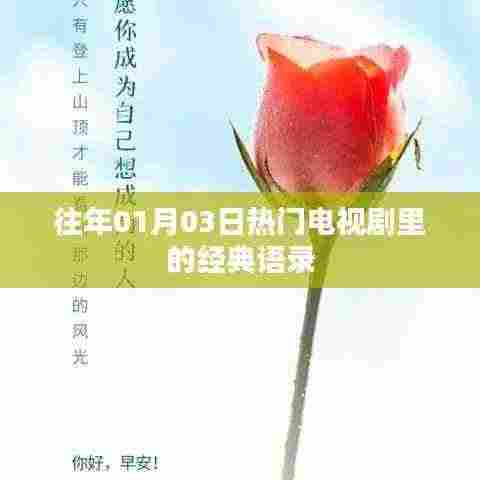 花开无言 第4页