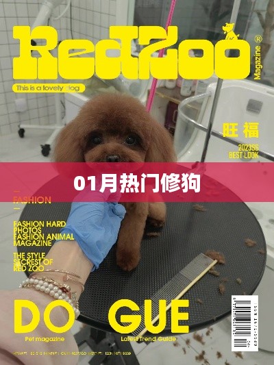 热门修狗动态,一月看点大解析