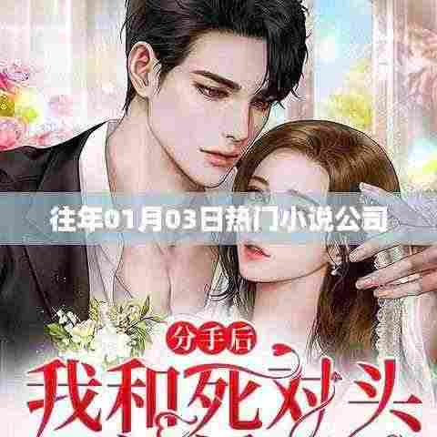 历年一月三日热门小说公司盘点