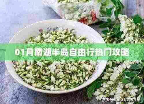 南湖半岛自由行指南,热门攻略全解析