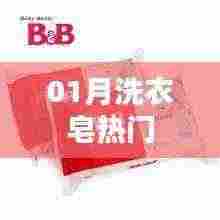 01月洗衣皂热门品牌与选购指南