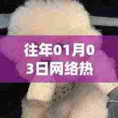 网络热门狗子表情包动图大赏，历年精选回顾