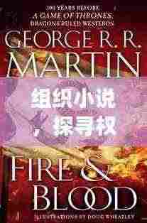 探寻权力与秩序交织之美,组织小说探究