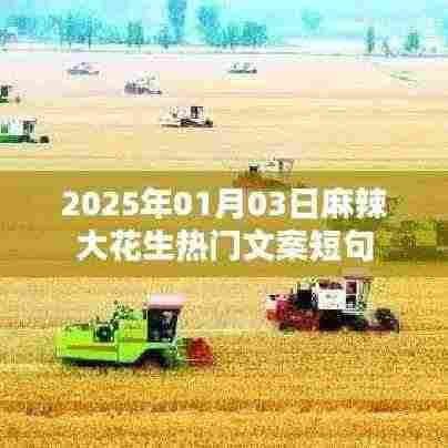 2025年麻辣大花生热门文案短句,每日更新
