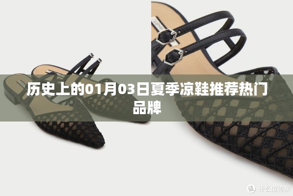 夏季凉鞋热门品牌推荐,历史视角下的01月03日回顾